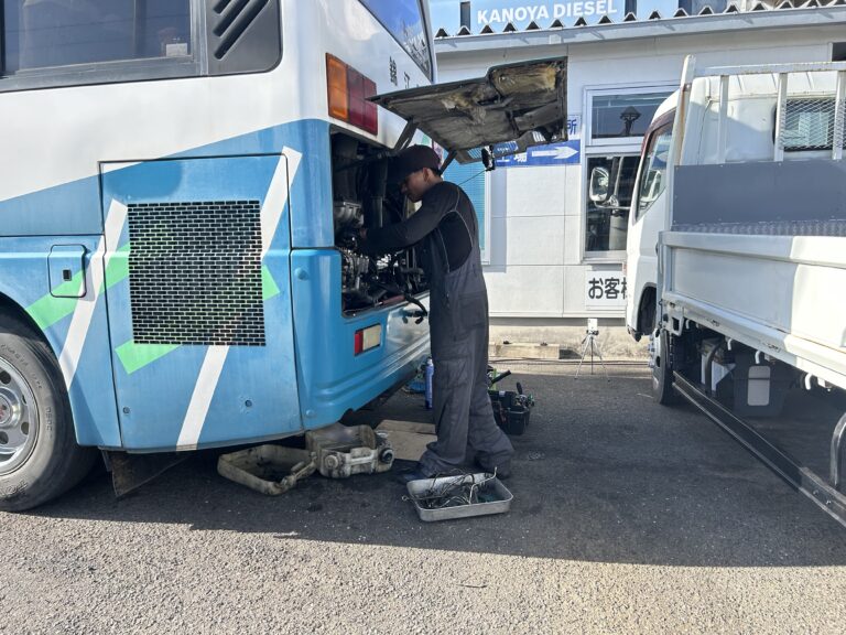 毎日暑い日が続きます🥵