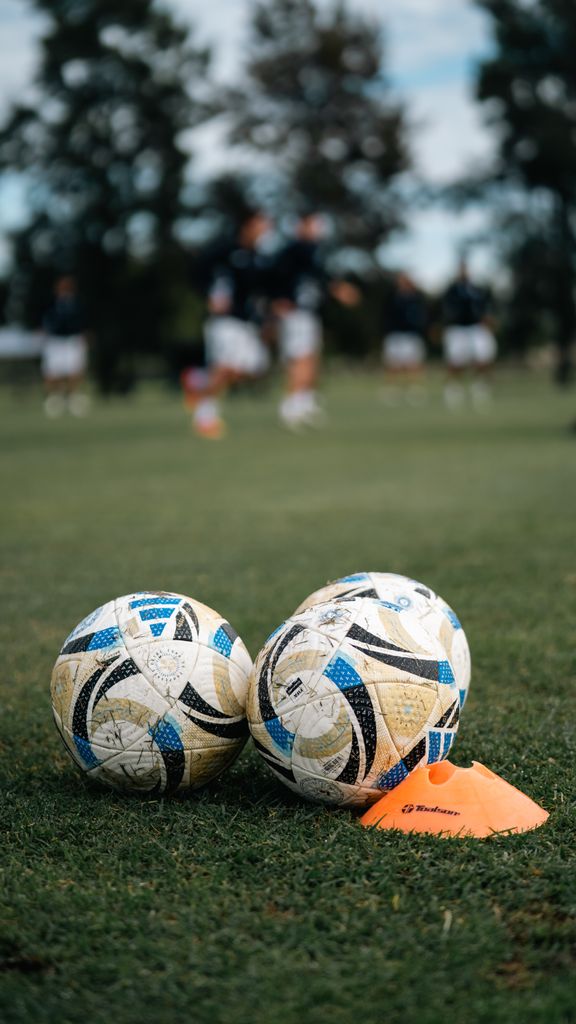 Two soccer balls on a field with cones during team practice, creating a sports training scene.